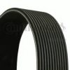 CONTITECH 12PK1815 V-Ribbed Belts